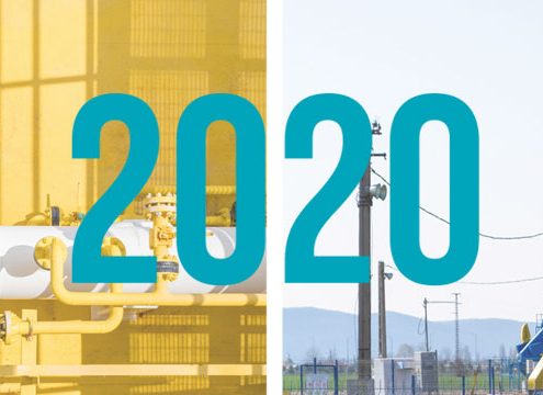 raport anual de activitate 2020 - fppg